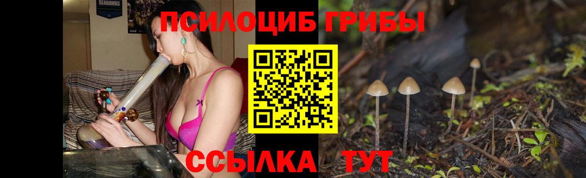 Псилоцибиновые грибы Psilocybe  продажа наркотиков  Урай  Галлюциногенные грибы Cubensis  Вход с VPN 